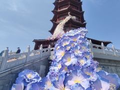 -江苏三台山国家森林公园