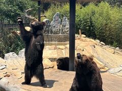 -昆明植物园