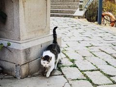 -美味居(古城店)