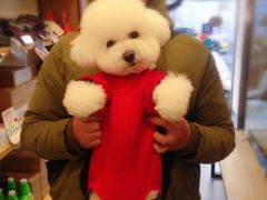 -PETKIT小佩宠物(古北店)