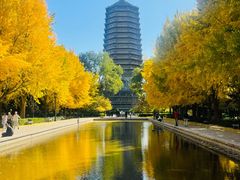 -玲珑塔公园