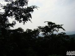1-三亚亚龙湾人间天堂鸟巢度假村