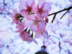 -静安雕塑公园