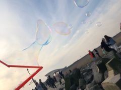 -南汇嘴观海公园