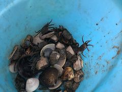 -北海金海湾红树林生态旅游区