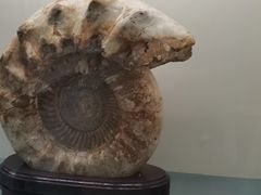 -甘肃地质博物馆