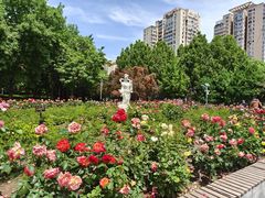 -丰台花园