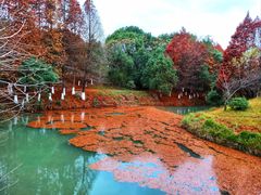 -八大山人梅湖景区