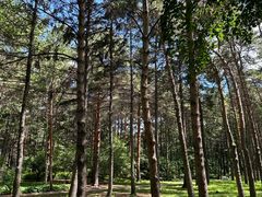 -黑龙江省森林植物园