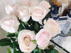 -秦美花卉(天朗·莱茵小城2期店)