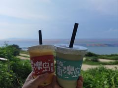 -南澳岛打卡果汁冰公司