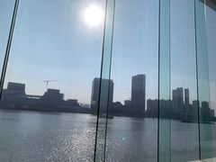 -白天鹅宾馆·月兔吧