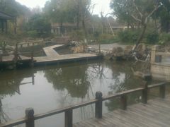 android_upload_pic-朱家角课植园