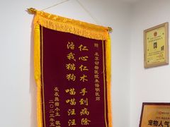 -米苏动物医院·犬猫专科·骨科外科内窥镜