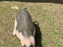 -洪湖家庭农场·团建·露营·会议