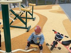 -昆山城市生态森林公园