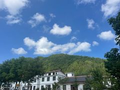 -狮子沟牧场