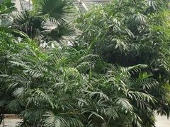 -龙达温泉生态城