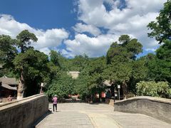 -大觉寺-停车场