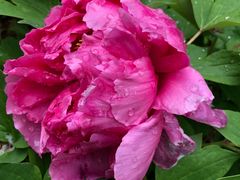 -合肥三国新城遗址公园