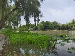 -苏州太湖假日酒店