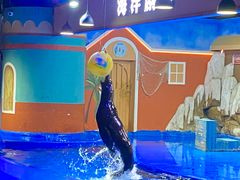 -重庆欢乐海底世界