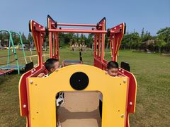 -上海长兴岛郊野公园