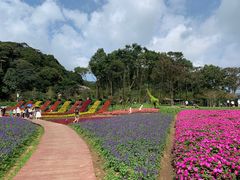 -广州市石门国家森林公园