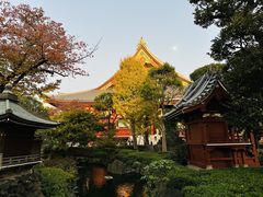 -浅草寺