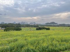 -光明小镇欢乐田园