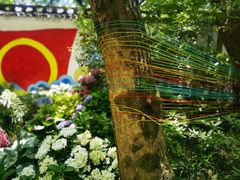 -杭州植物园