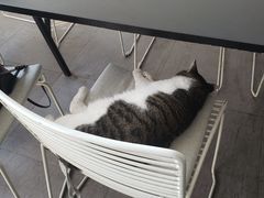 -UNI UNI(环亚凯瑟琳店)