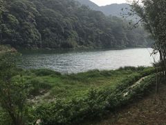 -广州市石门国家森林公园