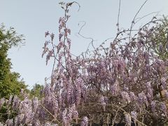 -九龙潭景区