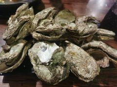 清蒸大生蚝-土蚝·高压锅生蚝(百姓美食街店)
