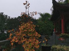 -乐山大佛风景名胜区乌尤寺南门-售票点