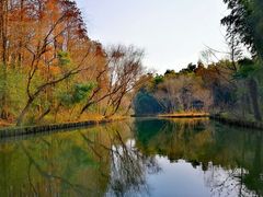 -同里国家湿地公园