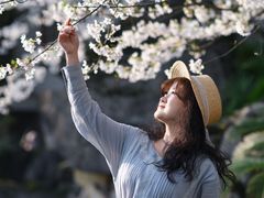 -南山植物园