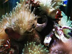 -太平洋海底世界