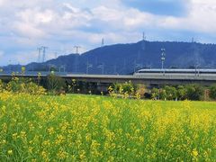 -光明小镇欢乐田园