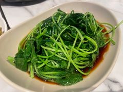 -MR鹅外