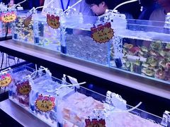 -中环花鸟鱼虫市场