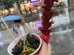 -黑色经典臭豆腐·湖南特产(坡子街店)