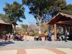 -上海野生动物园老虎餐厅