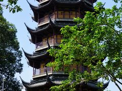 -红梅公园