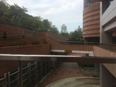 -香港大学