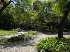 -玲珑塔公园