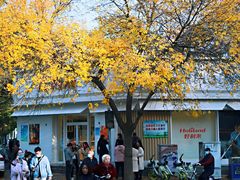 -好利来(槐中店)