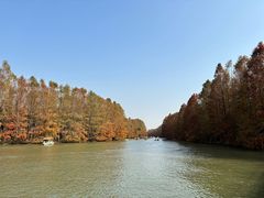 -上海海湾国家森林公园