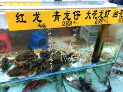 -寻味顺德·南记酒家·传统顺德菜·鱼生(广源路店)
